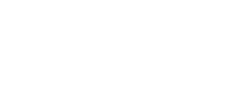 LSF Group Logo